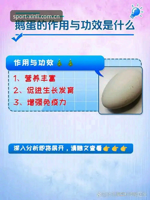 新利体育平台最新动态：深度解析其价值与使用体验